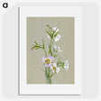1-87_Mary-Vaux-Walcott_picture