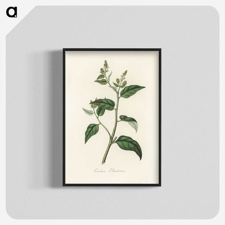 1-87_Medical-Botany_blk-crop