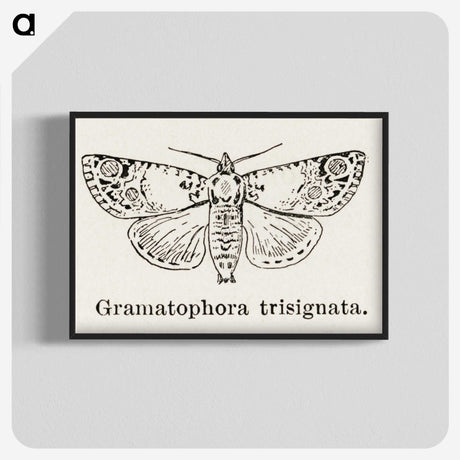 1-87_Moths-and-Butterflies-of-the-United-States_blk-crop
