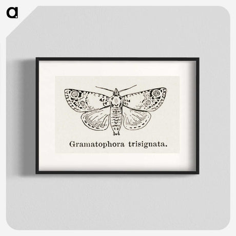 1-87_Moths-and-Butterflies-of-the-United-States_blk
