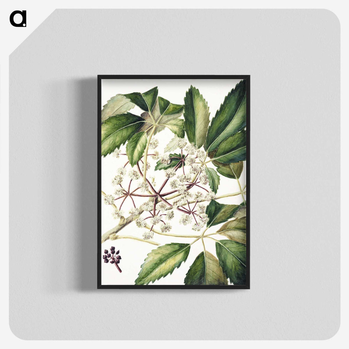 1-87_Native-Flowering-Plants-of-New-Zealand_blk-crop