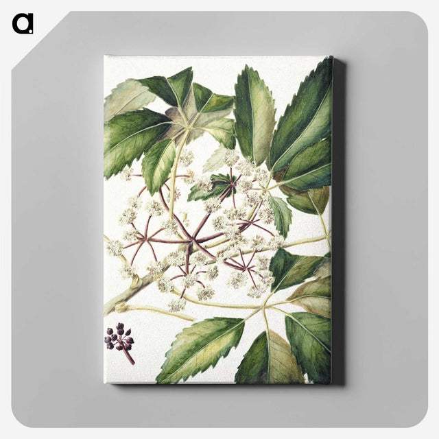 1-87_Native-Flowering-Plants-of-New-Zealand_canvas
