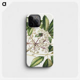 1-87_Native-Flowering-Plants-of-New-Zealand_phone