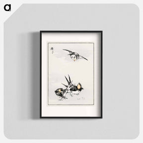 アートポスター-Swallow Illustration
 - 鳥類図鑑 Poster.