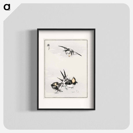 アートポスター-Swallow Illustration
 - 鳥類図鑑 Poster.