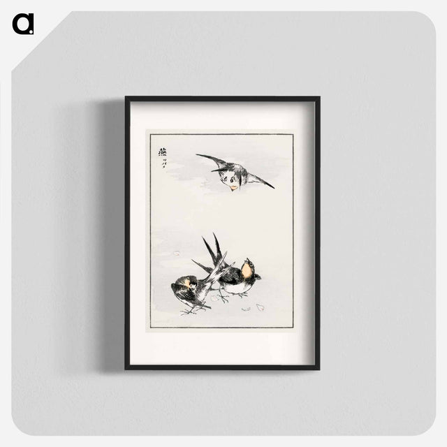 アートポスター-Swallow Illustration
 - 鳥類図鑑 Poster.
