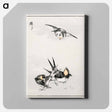 アートパネル-Swallow Illustration
 - 鳥類図鑑 Canvas.
