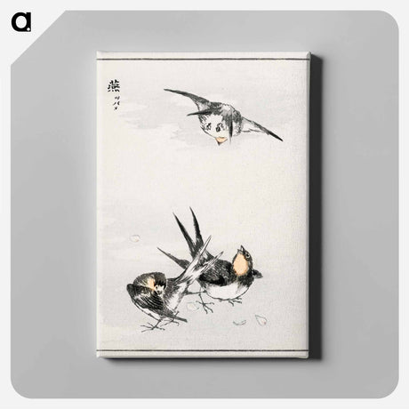 アートパネル-Swallow Illustration
 - 鳥類図鑑 Canvas.