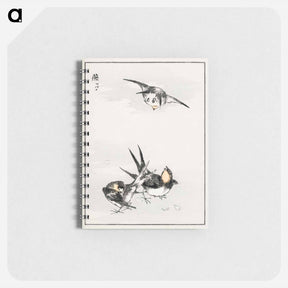 アートメモ帳-Swallow Illustration
 - 鳥類図鑑 Memo.
