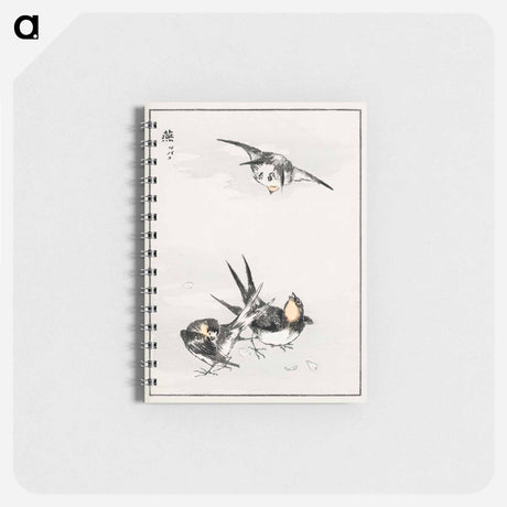 アートメモ帳-Swallow Illustration
 - 鳥類図鑑 Memo.