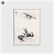 アートポストカード-Swallow Illustration
 - 鳥類図鑑 Postcard.