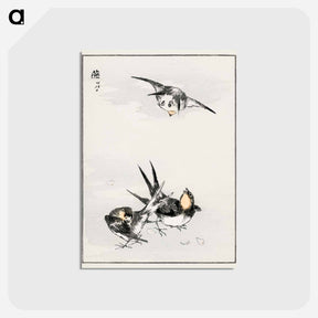 アートポストカード-Swallow Illustration
 - 鳥類図鑑 Postcard.