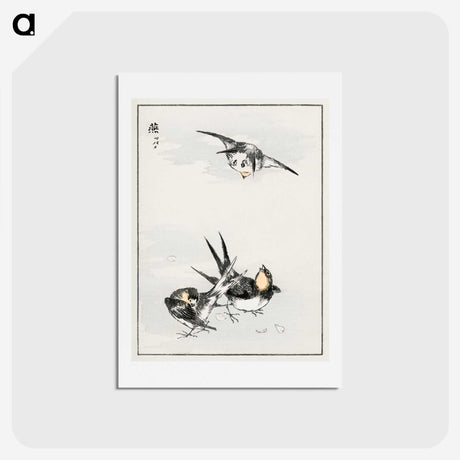1-87_Pictorial-Monograph-of-Birds_hagaki