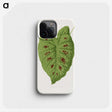 1-87_Plants-with-Colored-Foliage_phone