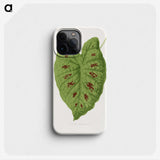 1-87_Plants-with-Colored-Foliage_phone