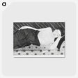 1-87_Samuel-Jessurun_postcard