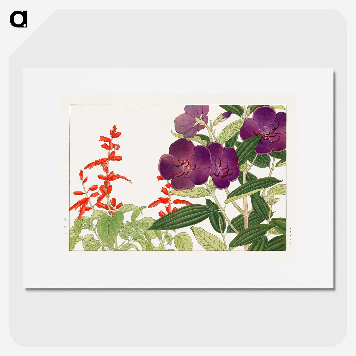 1-87_Seiyo-Soka-Zufu_picture