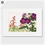 1-87_Seiyo-Soka-Zufu_picture