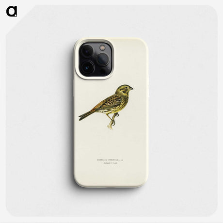 1-87_Svenska-Faglar_phone