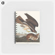 アートメモ帳-Common Buzzard from Birds of America
 - アメリカの鳥たち Memo.