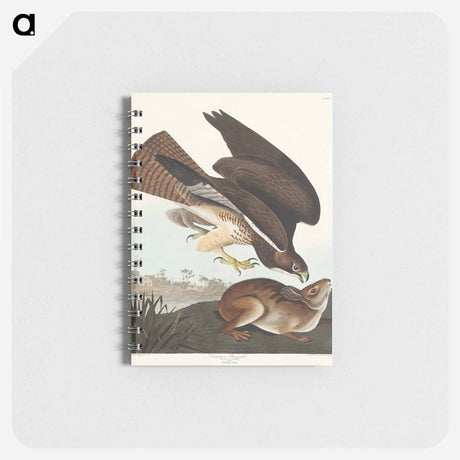 アートメモ帳-Common Buzzard from Birds of America
 - アメリカの鳥たち Memo.