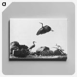 1-87_The-Burton-Brothers_canvas