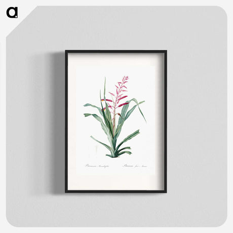 1-87_The-Lilies_blk