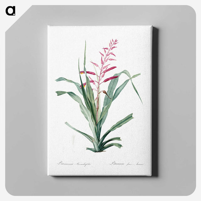 1-87_The-Lilies_canvas