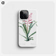 1-87_The-Lilies_phone