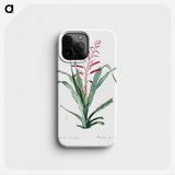 1-87_The-Lilies_phone