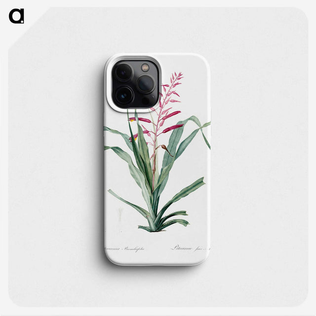 1-87_The-Lilies_phone