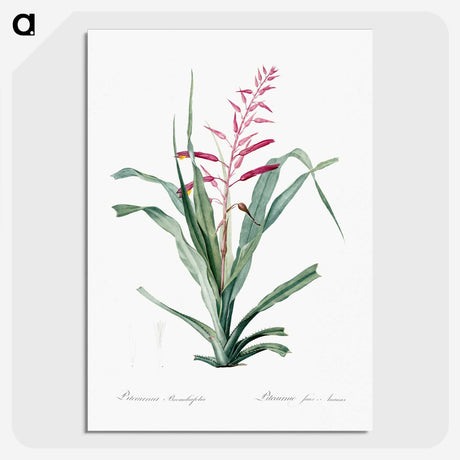 1-87_The-Lilies_picture-crop