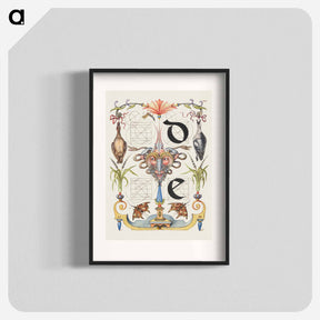アートポスター-Guide for Constructing the Letters d and e from Mira Calligraphiae Monumenta
 - 書道のお手本 Poster.