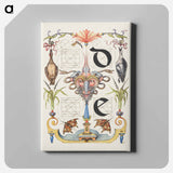 アートパネル-Guide for Constructing the Letters d and e from Mira Calligraphiae Monumenta
 - 書道のお手本 Canvas.