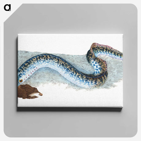 1-87_The-Natural-History-of-British-Fishes_canvas
