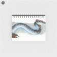 1-87_The-Natural-History-of-British-Fishes_memo