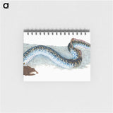 1-87_The-Natural-History-of-British-Fishes_memo