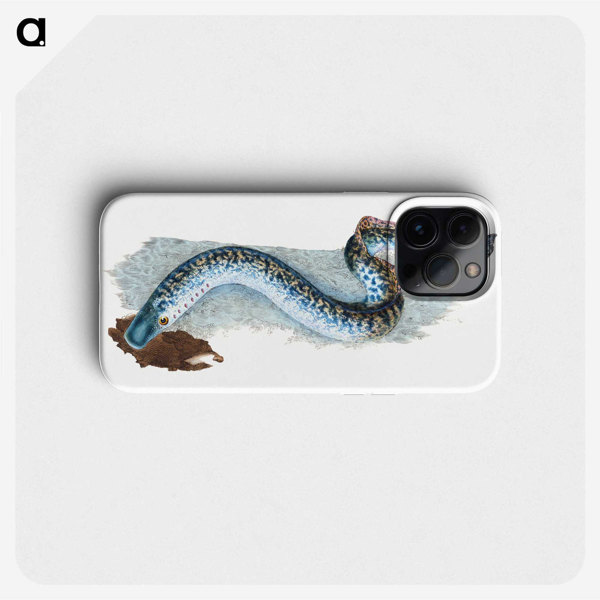 1-87_The-Natural-History-of-British-Fishes_phone