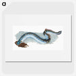 1-87_The-Natural-History-of-British-Fishes_picture