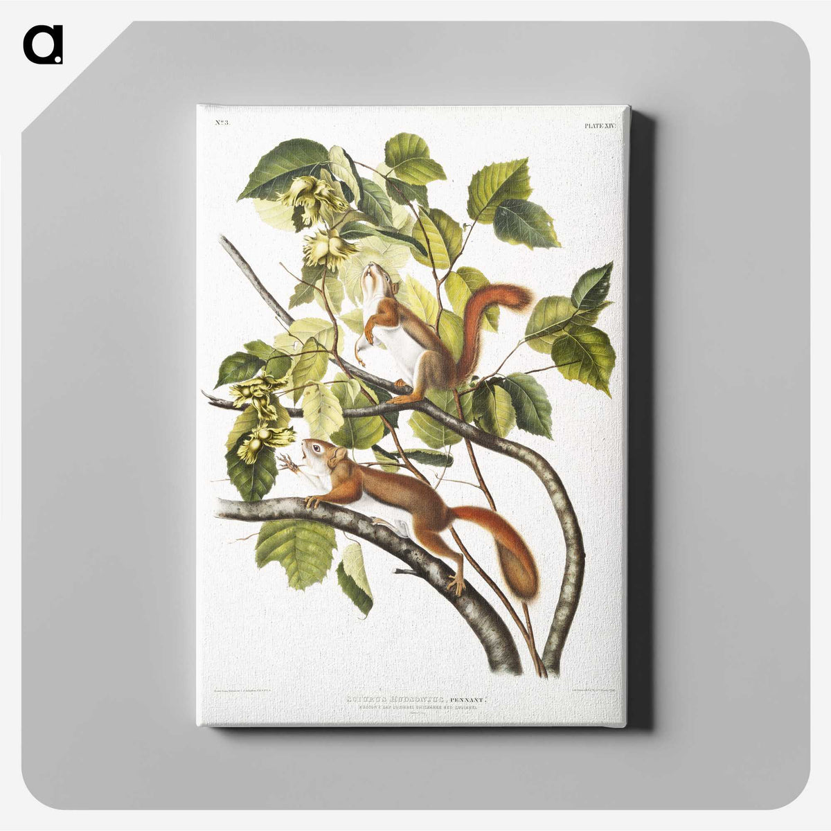 1-87_The-Viviparous-Quadrupeds_canvas