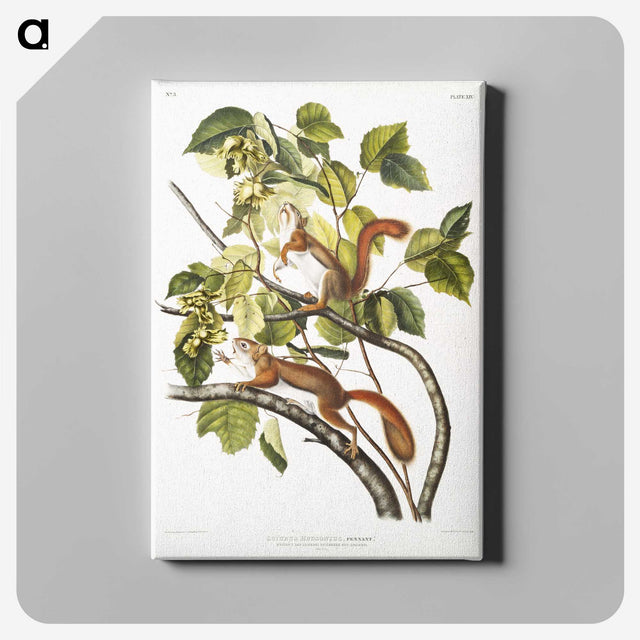 1-87_The-Viviparous-Quadrupeds_canvas