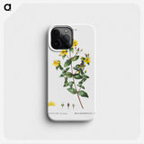 1-87_Treatise-on-Trees-and-Shrubs_phone