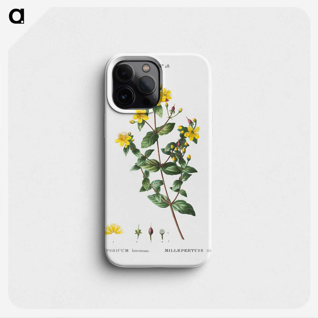 1-87_Treatise-on-Trees-and-Shrubs_phone