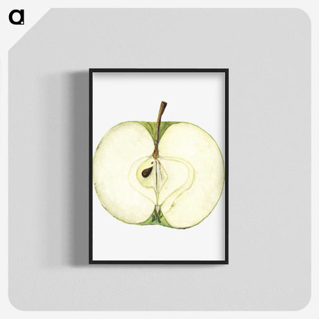 1-87_USDA-Watercolor-Fruit-Painting-Collection_blk-crop