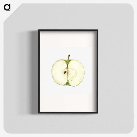 1-87_USDA-Watercolor-Fruit-Painting-Collection_blk
