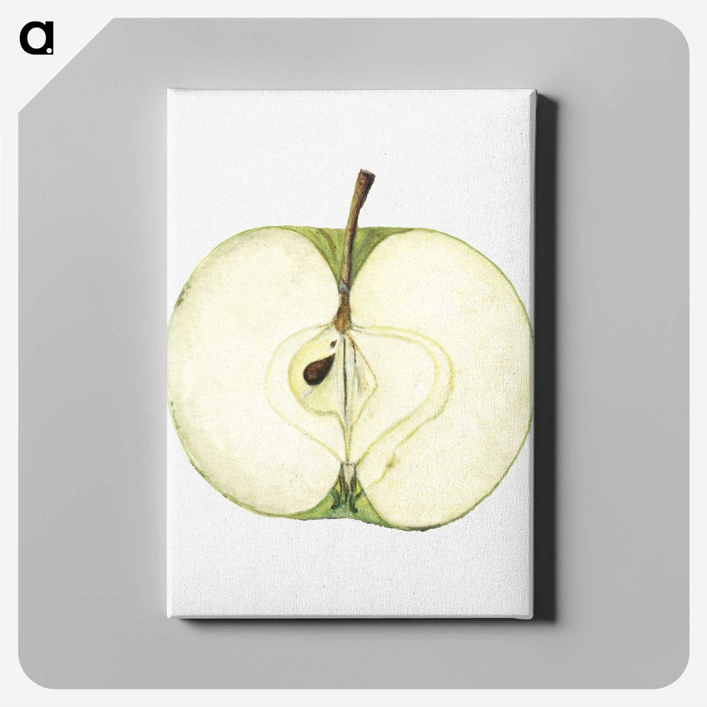 1-87_USDA-Watercolor-Fruit-Painting-Collection_canvas