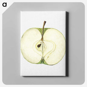 1-87_USDA-Watercolor-Fruit-Painting-Collection_canvas