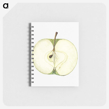 1-87_USDA-Watercolor-Fruit-Painting-Collection_memo