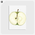 1-87_USDA-Watercolor-Fruit-Painting-Collection_postcard