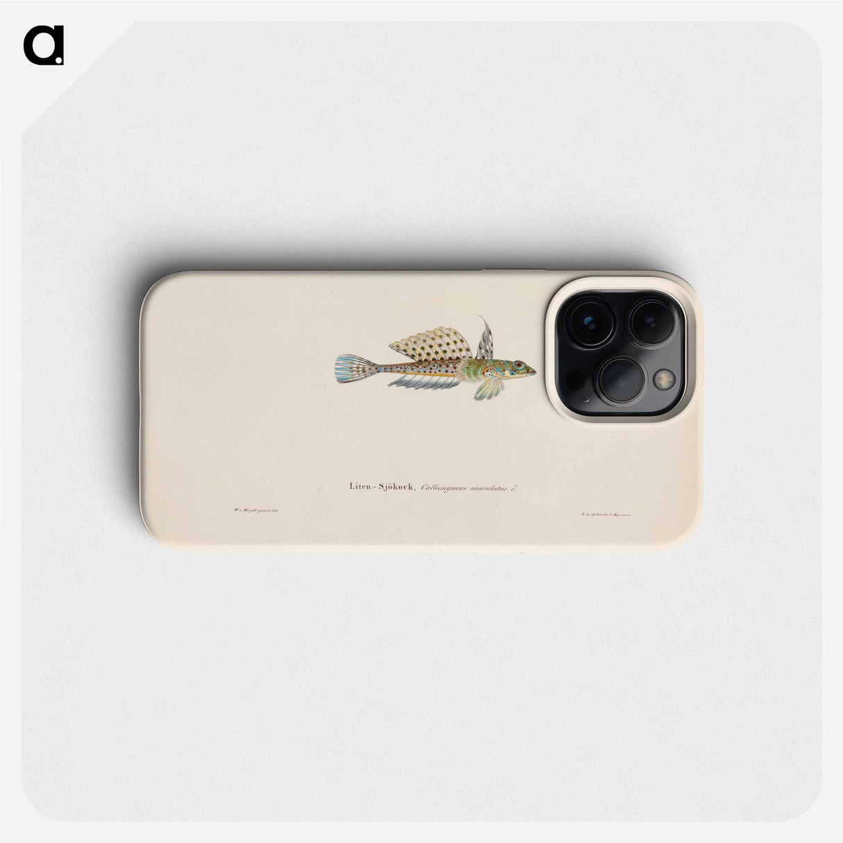 Spotted dragonet, male - Wilhelm von Wright Phone Case.